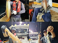 7월30일 한치쿨러조황~오늘한치마지막출조나..