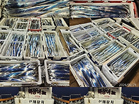 6월29일 갈치,한치쿨러조황~대박~오늘자리여..