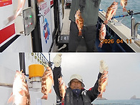 4월12일 갈치첫출조~대박~18일(토요일)갈치..