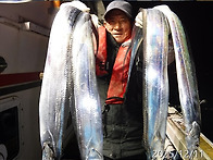 12월11일 씨알좋은갈치쿨러조황~기상이좋아..