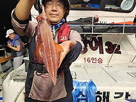 7월27일 대포한치쿨러조황~오늘자리여유있습..