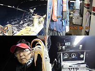 5월25일 갈치,한치쿨러조황~한치최대세자리..
