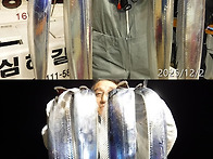 12월2일 갈치쿨러조황~기상이좋아지는목요일..