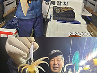 5월3일 갈치,한치병행출조쿨러조황~5일정상..