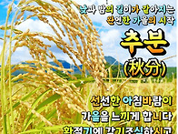 내 인생에 가을이 오면