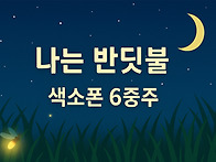 나는 반딧불