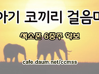 아기 코끼리 걸음마(Bab..