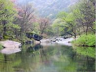 정기산행 [2026. 7. 1..