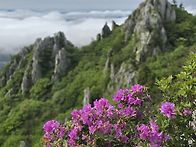 달마산 운해 환상이었습니..