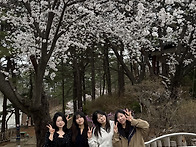 🌸어부바해조..