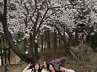 🌸요즘 힘들조&#..