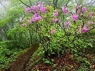 남원 봉화산