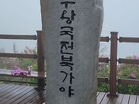 남원 봉화산철쭉