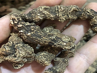 죽절삼 효능 복용법 알아보..