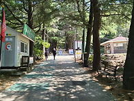 대구 팔공산-2026.06.1..