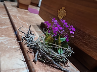 2026년 사순시기 ..