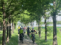 2026 07 12 마구산