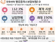 밸류플러스보장보험2.0(한..