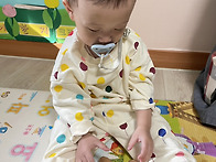 가을 자연물 관찰..