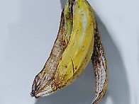수채화수업자료