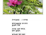 고사(古寺)