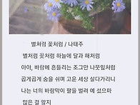 별처럼 꽃처럼