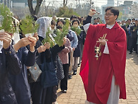 주님 수난 성지 주일, 성..