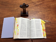 시편 통독 17일차