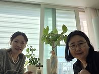 한화구역 9월 두번째 반모..