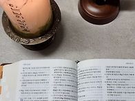 시편 통독 7일차