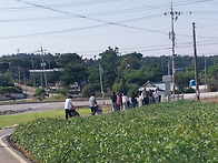 해바라기 산책하기~