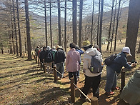 26년 만항재~태백산