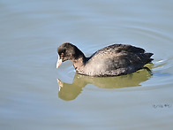 12/6 수업 중 만났거나 자..