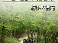 [2025년 07월 12일 토요..