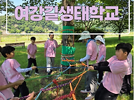 [2026년 06월 13일 토요..