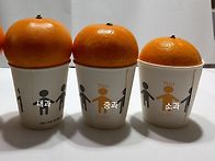 고당도 천혜향과 레드향(..