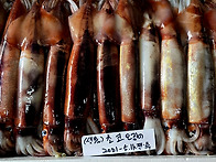 [오늘입찰] 초코오징어,민..