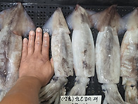 [9월17일] 참조기,병어,물..