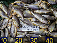 [오늘입찰] 안강망(파)참..