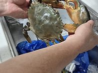 청게찜 최고예요