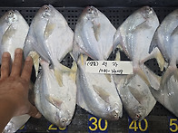 [오늘입찰] 덕자,서대,우..