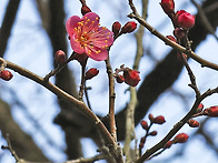 통도사 화엄산림 회향과 ..