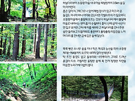 소똥령을 아시나요?
