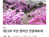 2023년 4월 1일 진달래 꽃..