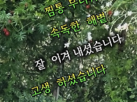 8월 마지막 날 26.08.3..