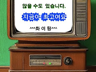 지금 이 최고여요 26.04..