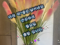 이제 딱~ 좋은 날씨네요 ..