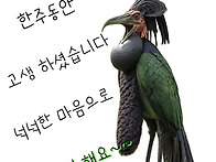 한주 동안 고생하셨습니다..