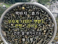 막바지 휴가 26.08.11...