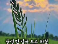 9월을 보내고..... 26...